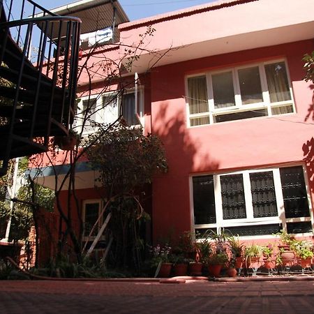 Ojas Wellness B&B Lalitpur Eksteriør billede