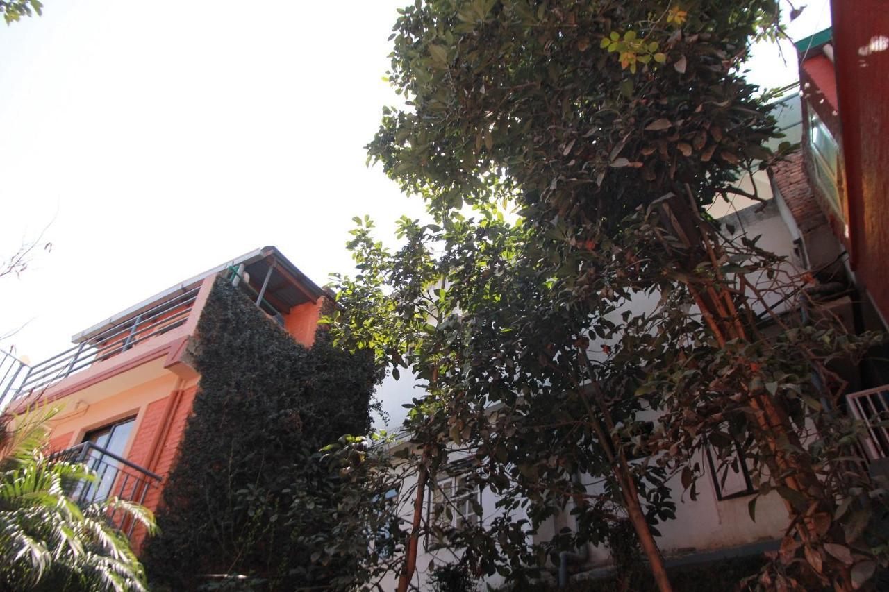 Ojas Wellness B&B Lalitpur Eksteriør billede